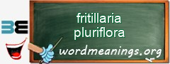 WordMeaning blackboard for fritillaria pluriflora